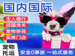 临沂启阳机场货运国际宠物托运 【国